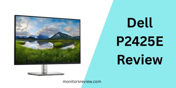 Dell P2425E Review