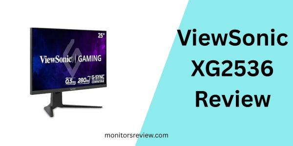 ViewSonic XG2536 Review