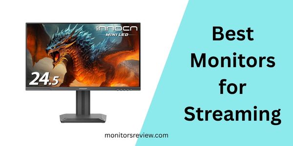 Best Monitors for Streaming