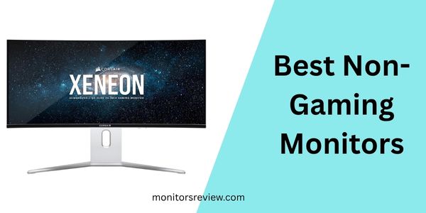 Best Non-Gaming Monitors